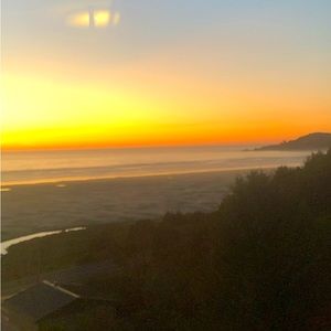 Meet your Posher, Bella